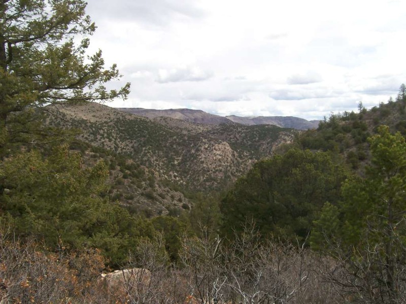 Colorado: Texas Creek BLM Road 6055 Hero Photo