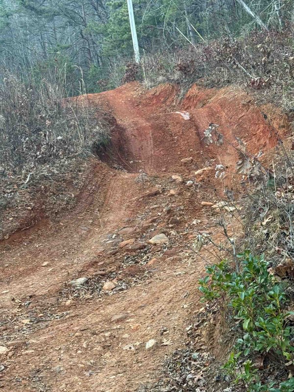 Charlies Creek Road Trail Review Photo