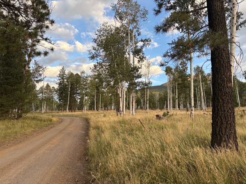 Behind the Peaks Trail Review Photo