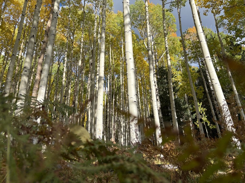Behind the Peaks Trail Review Photo