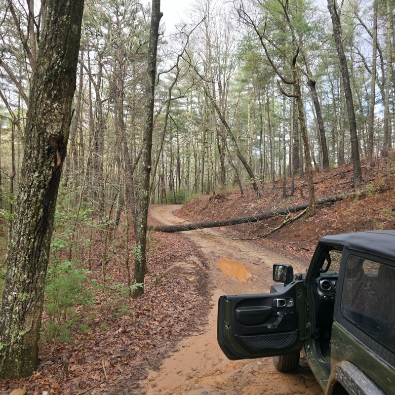 Jones Creek Road Trail Review Photo