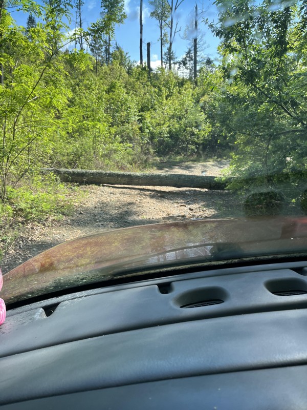 Weeks Creek Road Trail Review Photo