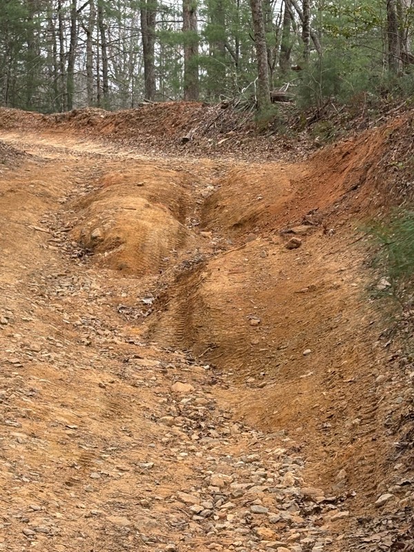 Weeks Creek Road Trail Review Photo