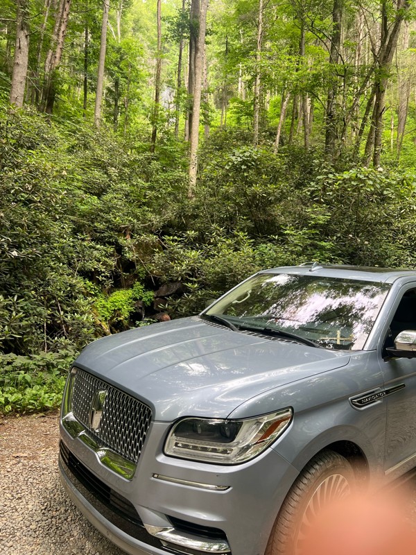 Weeks Creek Road Trail Review Photo