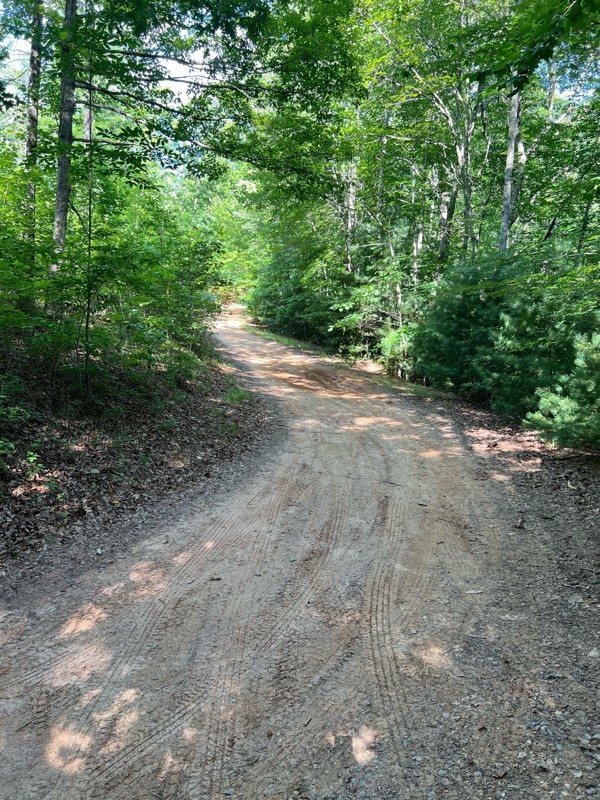 Weeks Creek Road Trail Review Photo