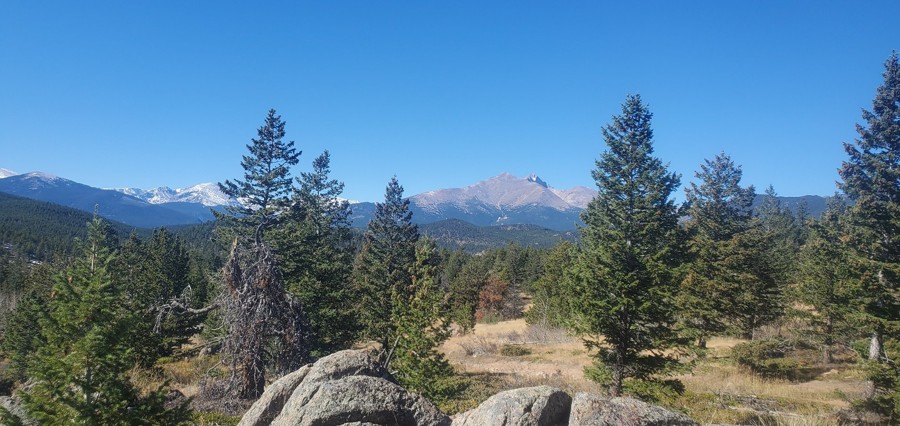 Trail Review: Johnny Park Road - Bruce Perry