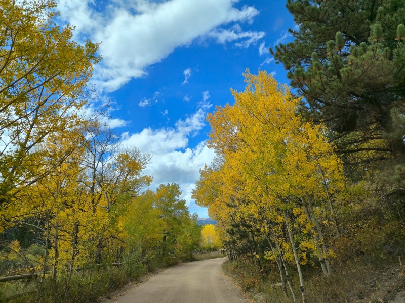 Johnny Park Road Trail Review Photo
