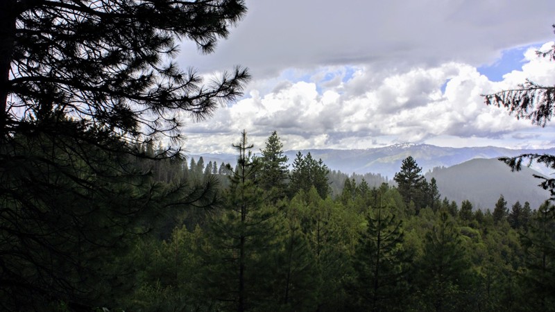 Idaho: Left Fork Danskin Creek Hero Photo