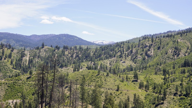 Idaho: Horn Creek Hero Photo