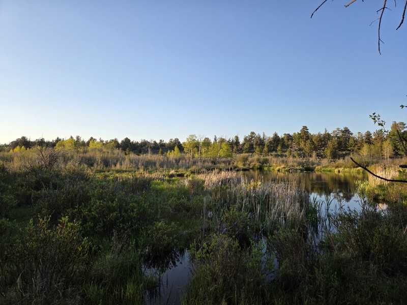 Eagle Rock Road  Trail Review Photo