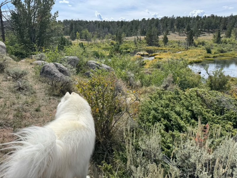 Eagle Rock Road  Trail Review Photo