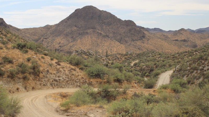 Champie Road Trail Review Photo