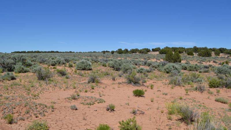 Utah: Copper Globe Landing Strip Hero Photo