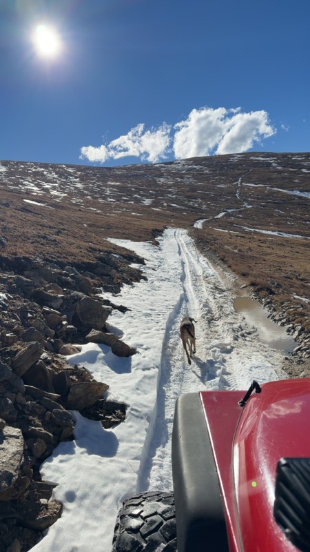 Kingston Peak Trail Review Photo