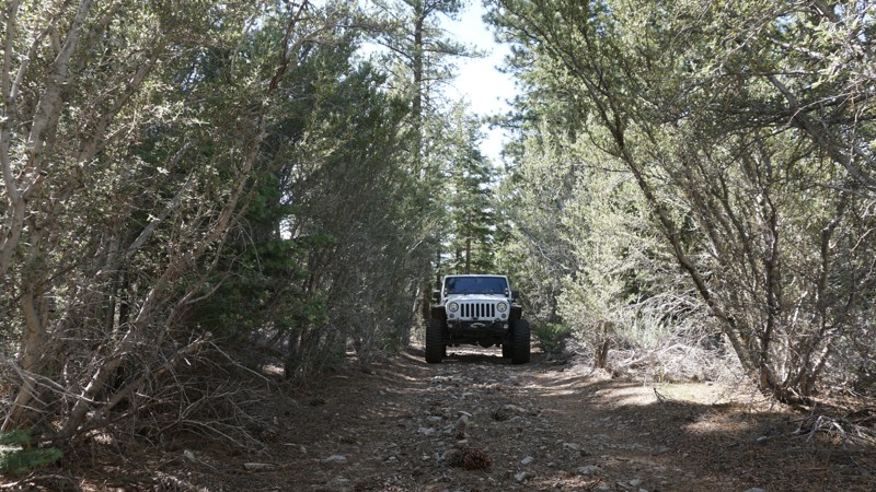 California: 2N22Y - May Van Canyon Hero Photo
