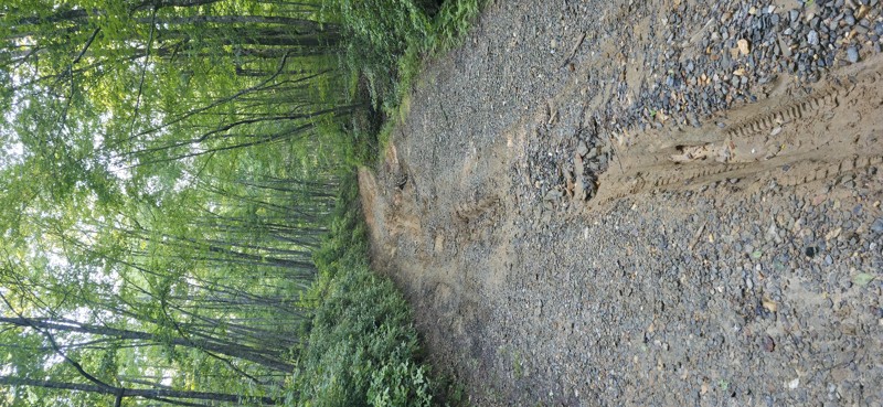 West Skeenah Road Trail Review Photo