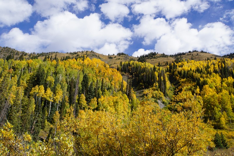 Lead King Basin Trail Review Photo