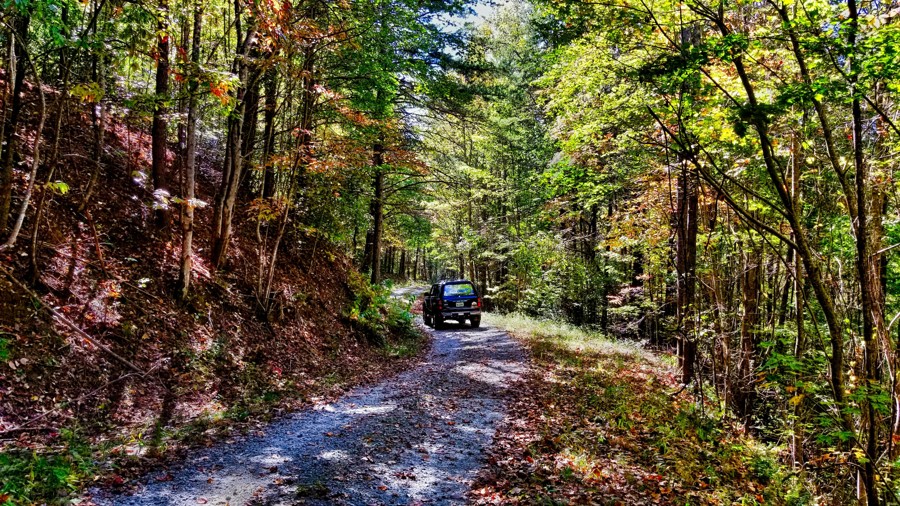 Trail Review: Little Longnose Road - Dave G.