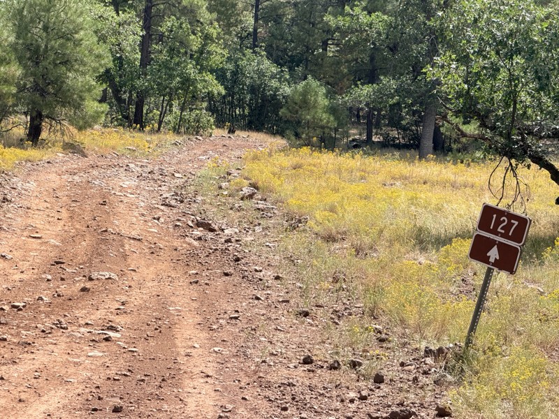 Bar M Road Trail Review Photo