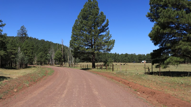 Arizona: Stoneman Lake Road Hero Photo