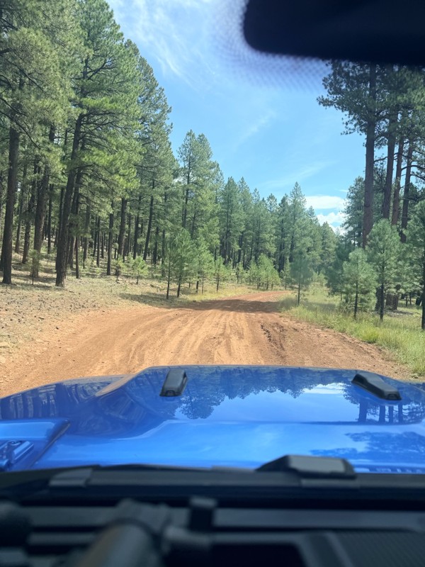 Sheep Springs Road Trail Review Photo
