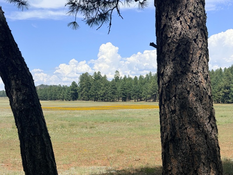 Casner Park Road Trail Review Photo