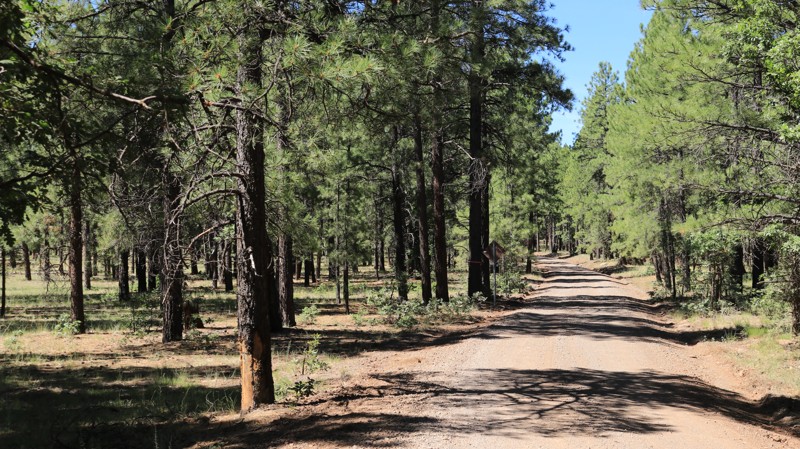 Arizona: Crimson Road Hero Photo