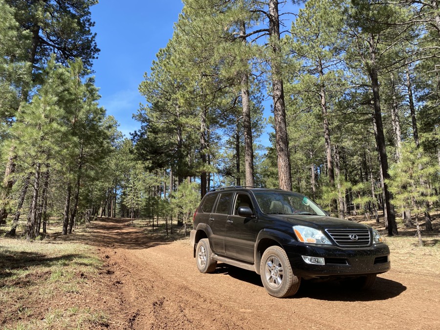 Trail Review: FR 935 - Todd