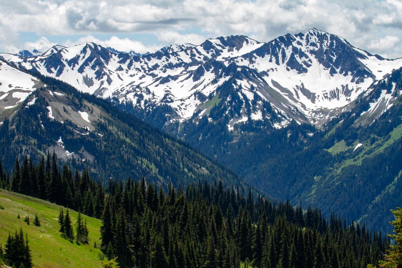Obstruction Point Road Trail Review Photo