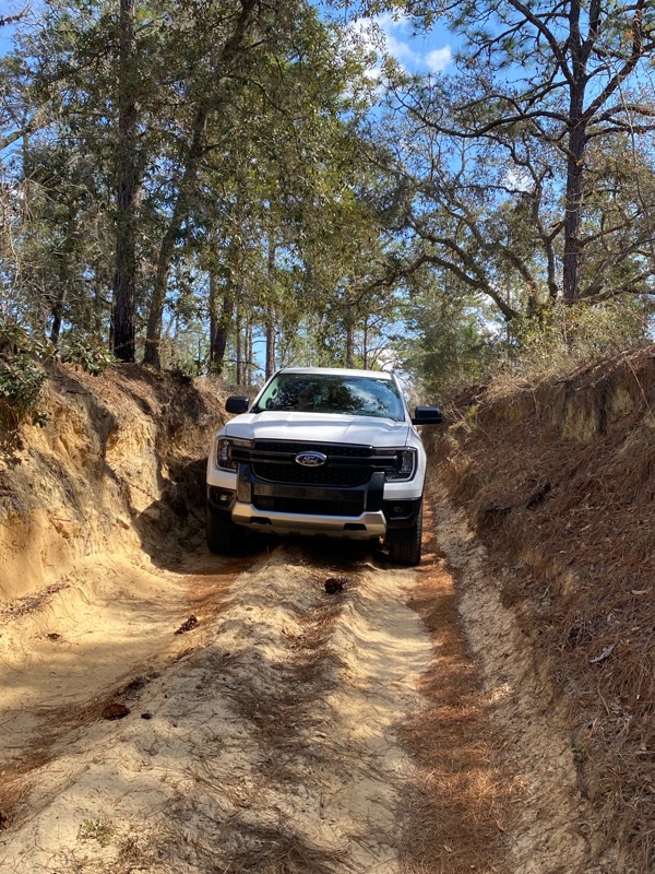 Citrus - Trail 16 Trail Review Photo