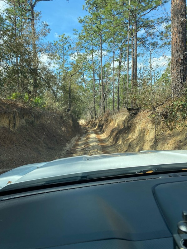 Citrus - Trail 16 Trail Review Photo