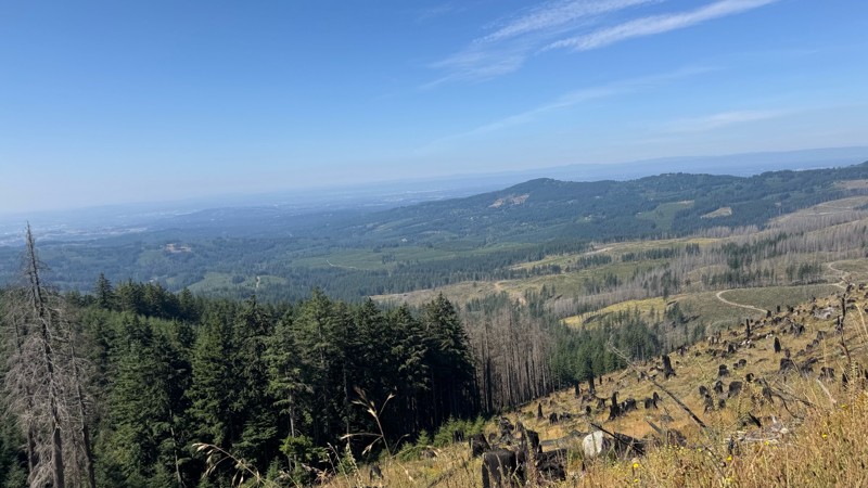 Hagen Creek Trail Review Photo