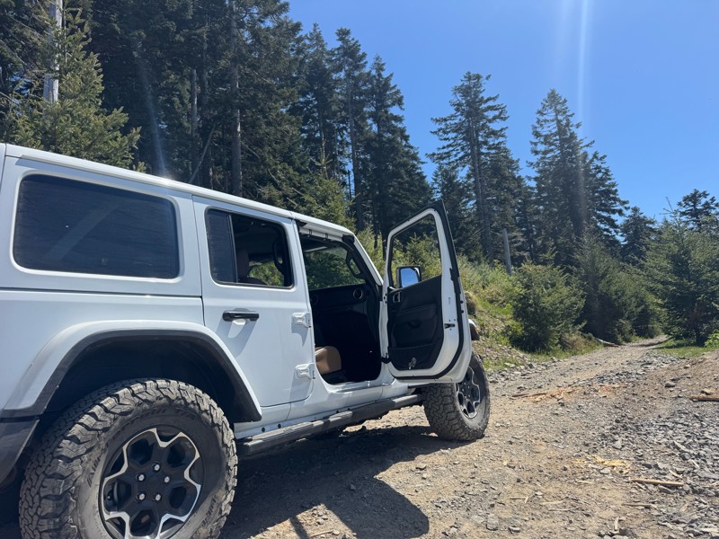 Skyline Trail Review Photo