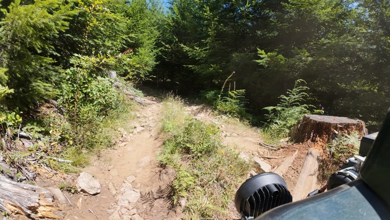 Snaggle Tooth Trail Review Photo