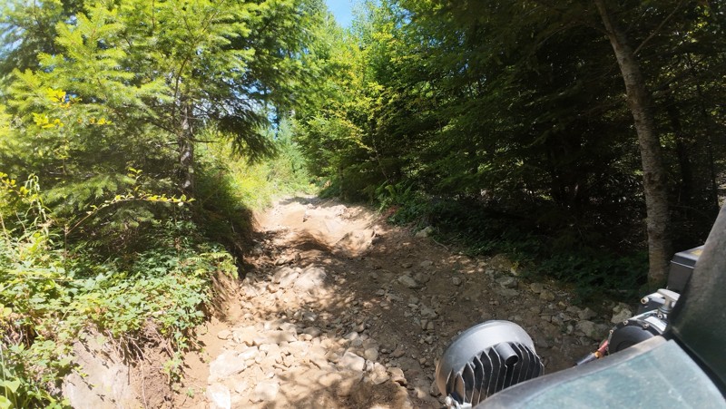 Snaggle Tooth Trail Review Photo