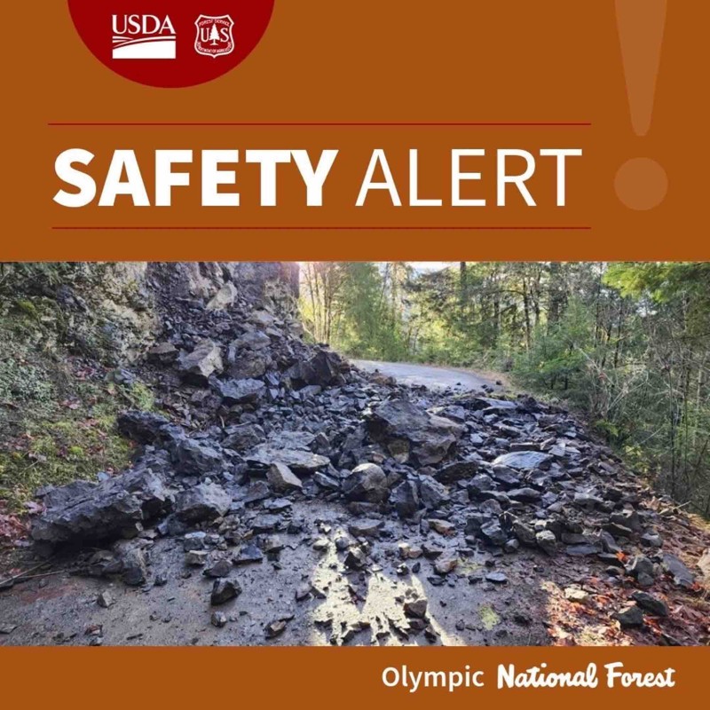 NF-2880 Trail Review Photo