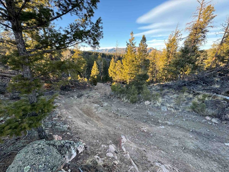 Confirmed Road Trail Review Photo