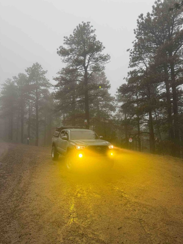 Jackson Creek Road Trail Review Photo
