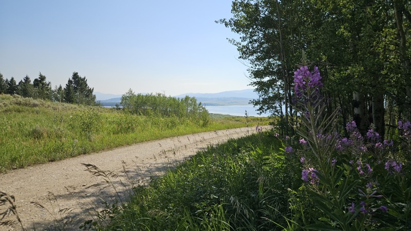 Whits Lake Road Trail Review Photo