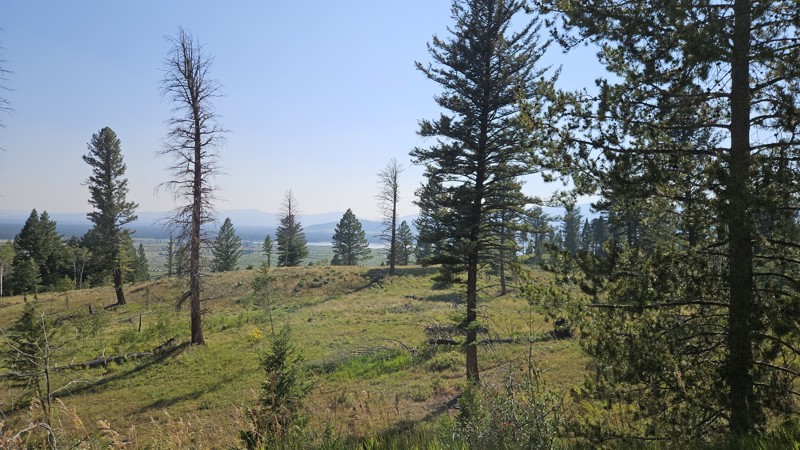 Whits Lake Road Trail Review Photo