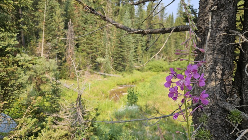 Tepee Creek Trail Review Photo