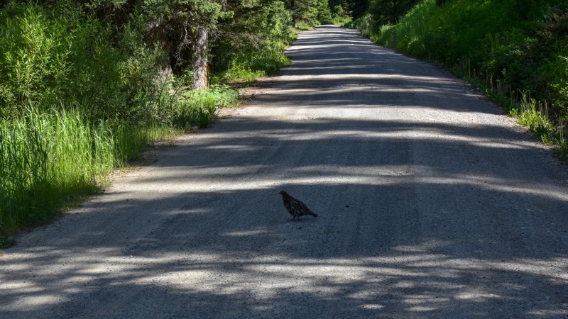 Beaver Creek Trail Review Photo