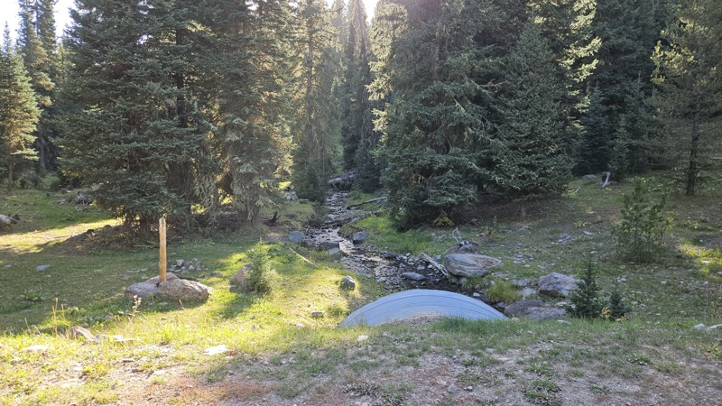 Freezeout Creek Trail Review Photo