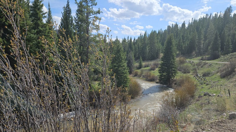 West Fork Madison Trail Review Photo