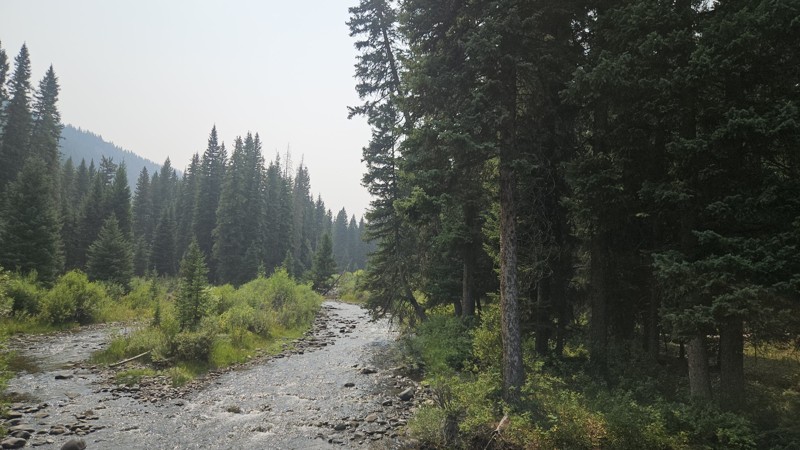 West Fork Madison Trail Review Photo