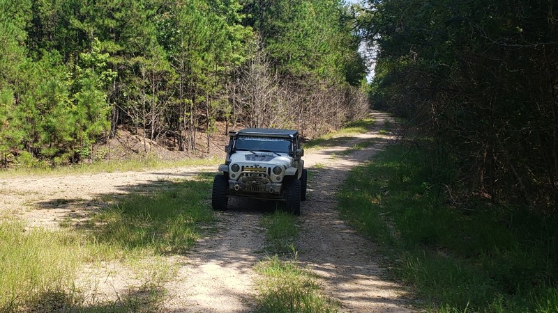 Arkansas: Cedar Mountain Hero Photo
