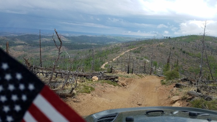 Trail Review: Longwater Gulch - Clem