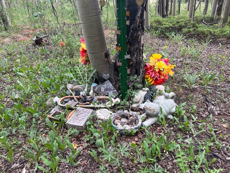 Ruby Trail Review Photo