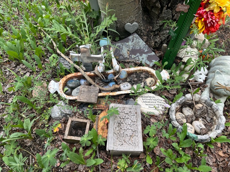 Ruby Trail Review Photo