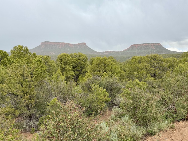 Elk Mountain Trail Review Photo